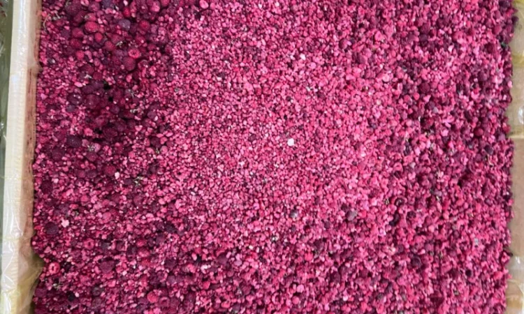 Продам заморожену продукцію: Малину, шиповнік, бузина, ожина - фото № 12