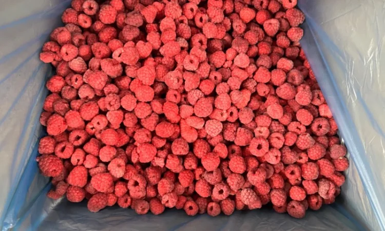 Продам заморожену продукцію: Малину, шиповнік, бузина, ожина - фото № 17