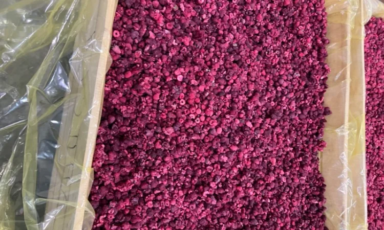 Продам заморожену продукцію: Малину, шиповнік, бузина, ожина - фото № 14