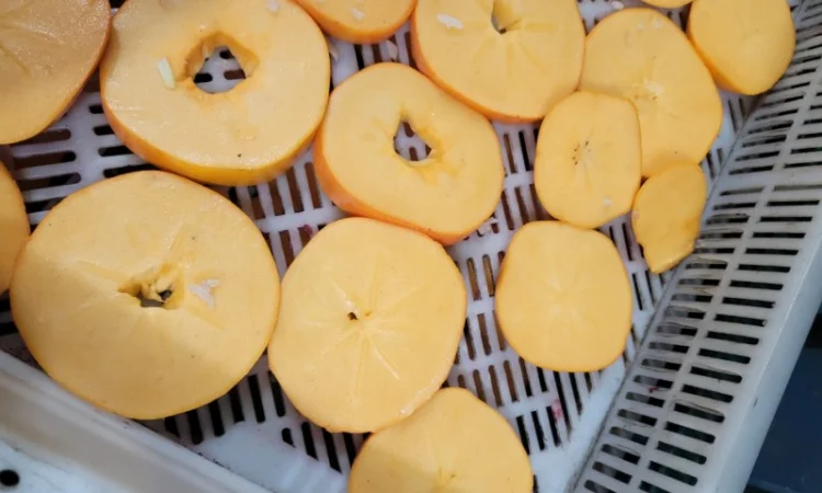 Продам сухе і морожене - фото № 1