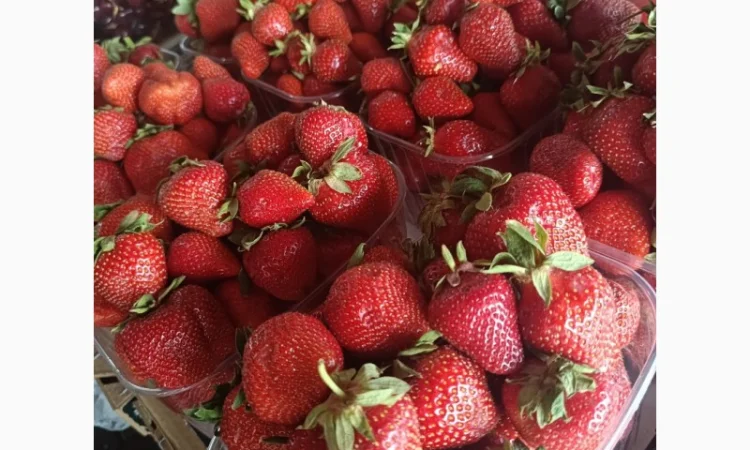 Купую Черешню Полуницю Лохину - фото № 1