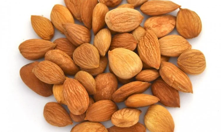 Продаём абрикосовые сладкие и горькие косточки - фото № 2