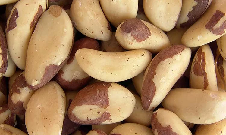 Продаём бразильский орех - фото № 1