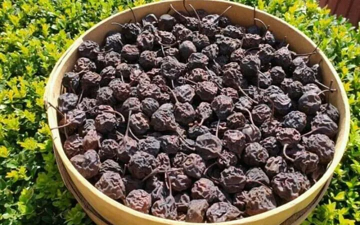 Продам сушку з домашніх яблук та груш(дичка та різана) - фото № 1