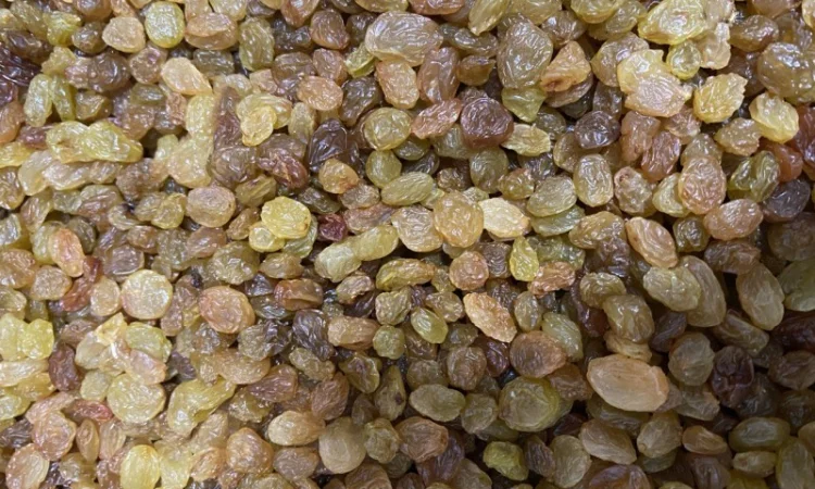 Поставка всіх видів горіхів та сухофруктів - фото № 2