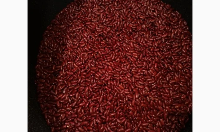 Поставка всіх видів горіхів та сухофруктів - фото № 3