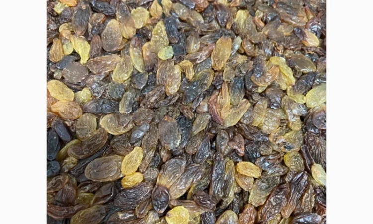 Поставка всіх видів горіхів та сухофруктів - фото № 7