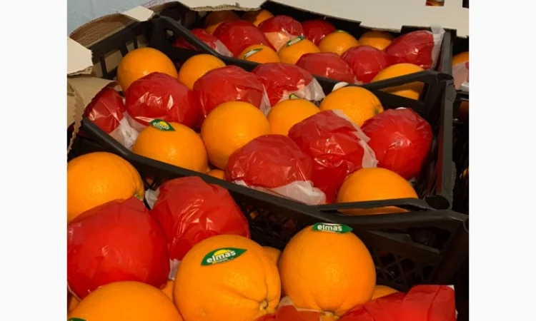 Продам Апельсин, Лимон, Мандарин Туреччина - фото № 1