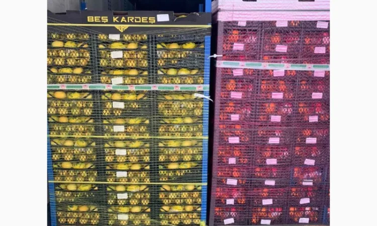 Продам Апельсин, Лимон, Мандарин Туреччина - фото № 3