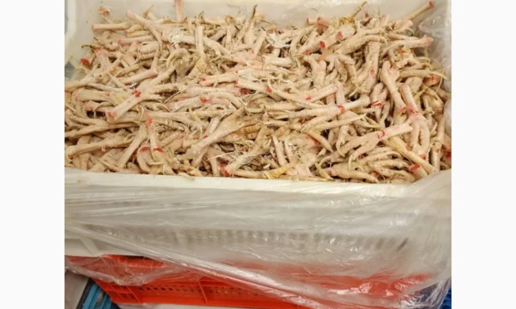 Лапи курячі гуртом - фото № 1