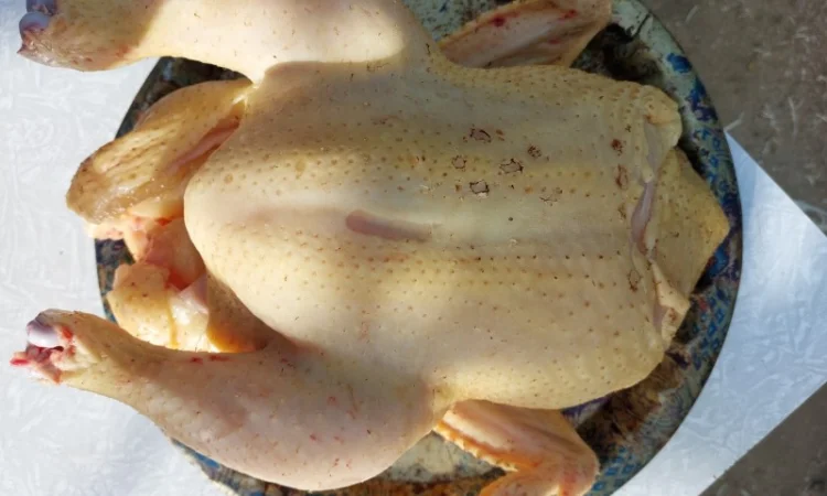 Продаю тушку бройлера - фото № 1