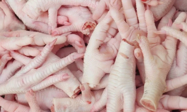 Проодам куриные лапки на экспорт - фото № 1