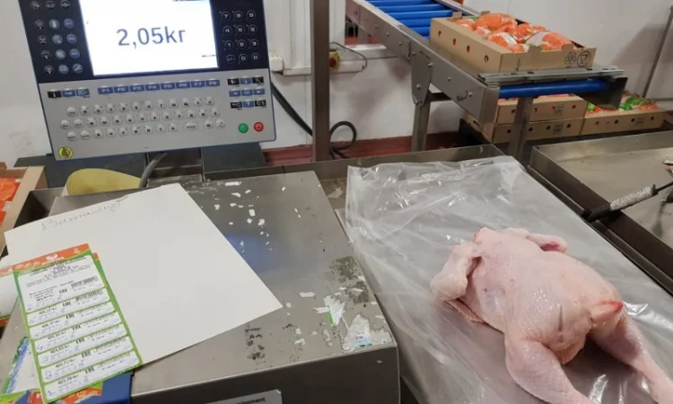 Курица Бройлер - фото № 1