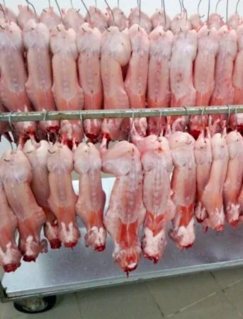 Продам мясо тушки кролика - фото № 1