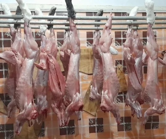 Продам тушку кролика - фото № 1