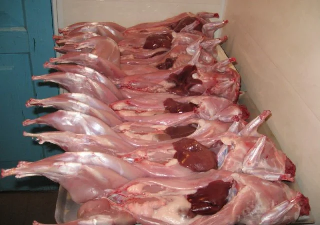 Ферма «М’ясо кролика термонці» – свіже завжди - фото № 1