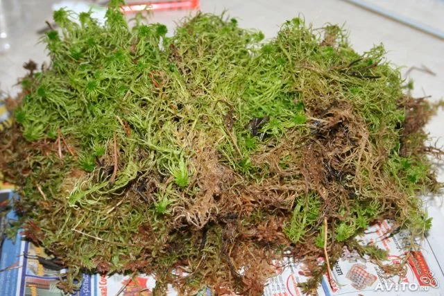 Кора соснова для орхідей та декоративних рослин - фото № 7