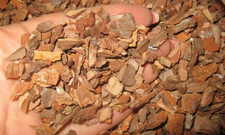 Кора соснова для орхідей та декоративних рослин - фото № 8