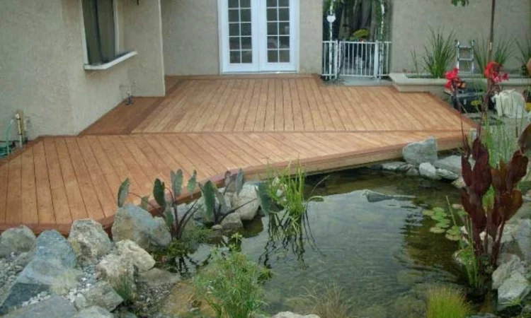 Водные растения для вашего пруда - фото № 12