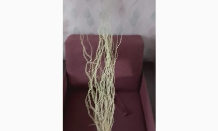 Гилочки кручёной вербы для декора - фото № 2