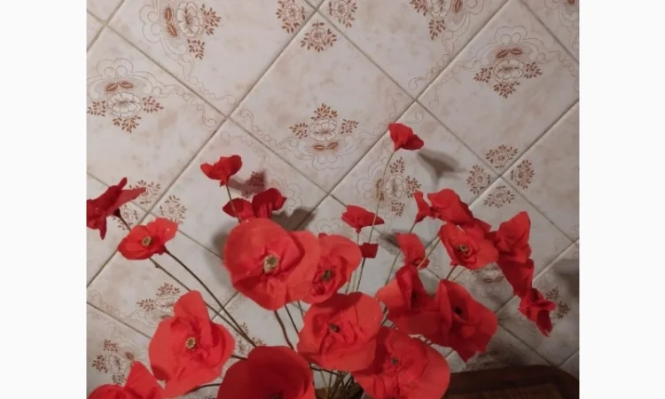 Продам колоски пшениці та квіти маку для квіткових композицій та декору - фото № 1