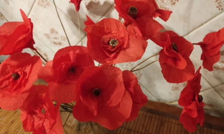 Продам колоски пшениці та квіти маку для квіткових композицій та декору - фото № 3