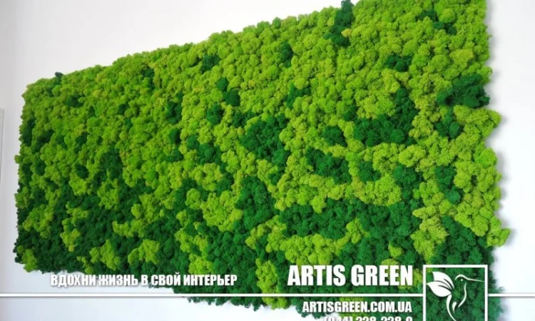 Декоративна стіна з стабілізованого моху - фото № 2