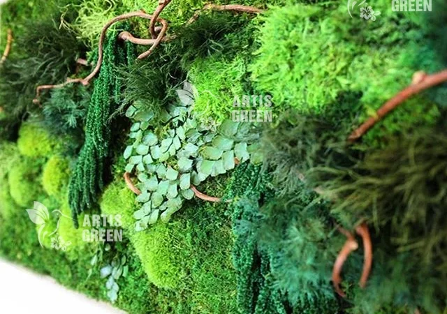 Екологічні картини та панно з моху та стабілізованих рослин - фото № 2