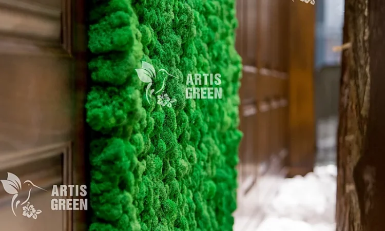 Екологічні картини та панно з моху та стабілізованих рослин - фото № 3