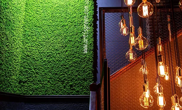 Стабилизированный мох ягель на панелях – идеальный декор - фото № 1