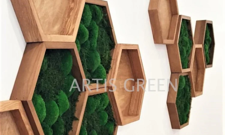 Стабилизированный мох ягель на панелях - фото № 1