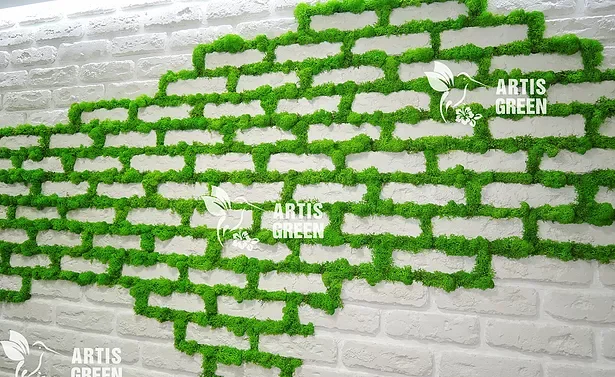 Стабилизированный мох ягель на панелях – идеальный декор - фото № 3