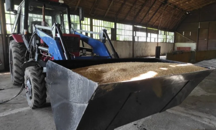 Фронтальні навантажувачі до вітчизняних, імпортних та для міні тракторів - фото № 7