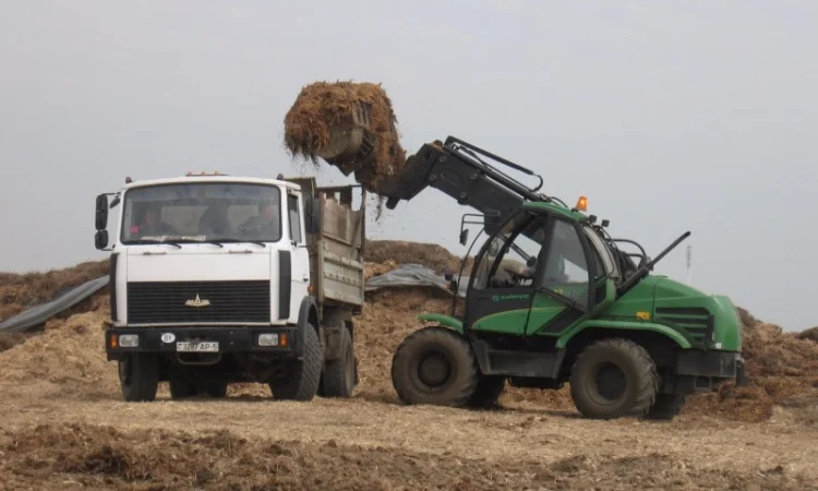 Навантажувач з телескопічною стрілою Амкодор 527. Можливо в кредит та лізинг - фото № 3