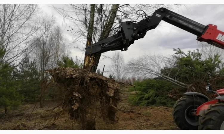 Корчеватель (гидрозахват) деревьев - фото № 6