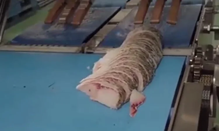 Слайсер для нарізки м' яса та риби під кутом STvega Slicer Fresh H250 - фото № 2