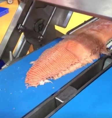 Слайсер для нарізки м' яса та риби під кутом STvega Slicer Fresh H250 - фото № 4