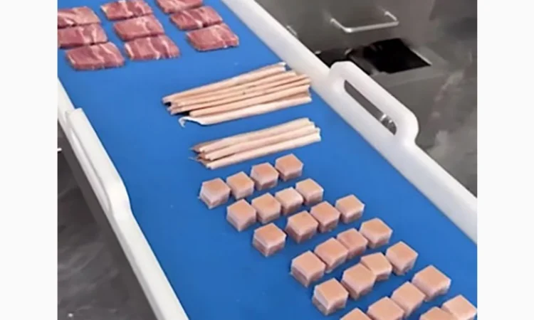 Машина для нарізки м'яса та риби STvega Meat Slicer H690 - фото № 16