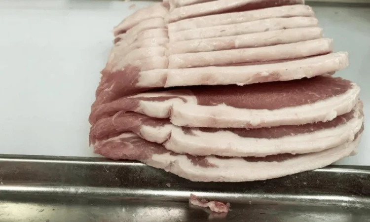 Слайсер для нарізки замороженого м'яса, шинки, ковбаси STvega Meat Slicer H400 - фото № 13