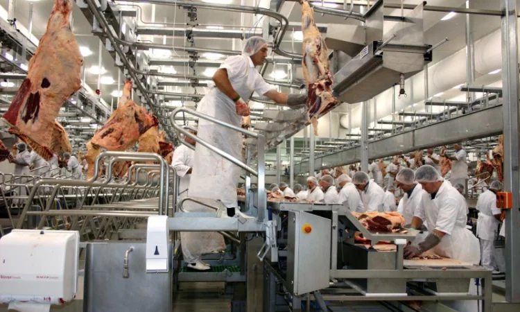 Линия по переработке мяса крупного рогатого скота - фото № 1