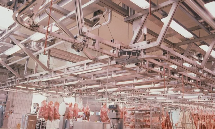 Линия по переработке мяса крупного рогатого скота - фото № 2