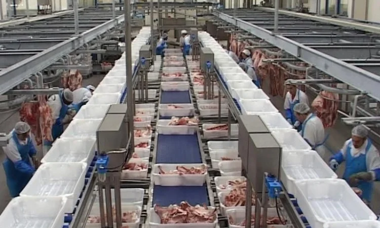 Линия по переработке мяса крупного рогатого скота - фото № 3