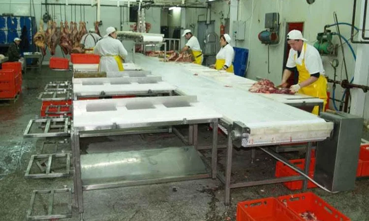 Линия по переработке мяса крупного рогатого скота - фото № 4