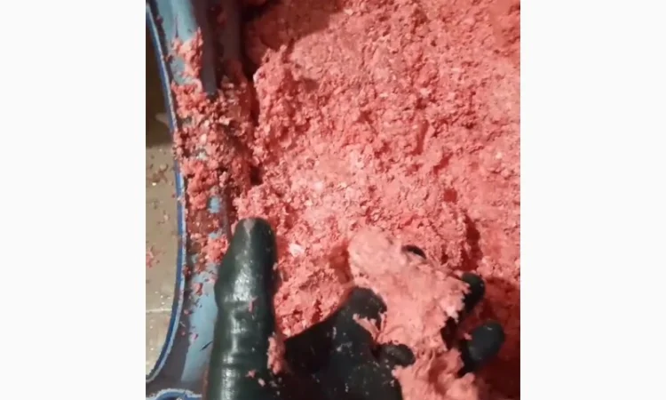 Дробилка костей до фракции фарша - фото № 6