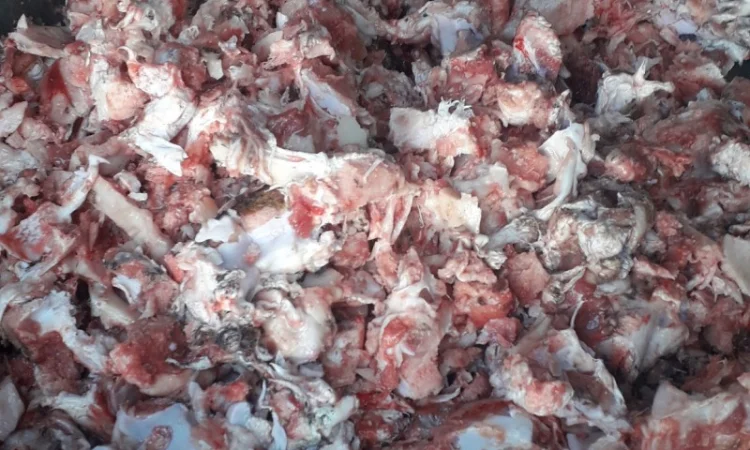 Измельчитель костей КРС (шредер) - фото № 3