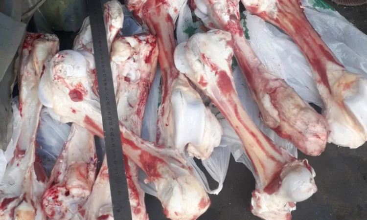 Линия производства фарша из костей КРС 1500 кг/ч - фото № 4