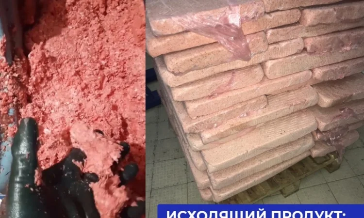 Линия производства фарша из костей КРС 1500 кг/ч - фото № 5