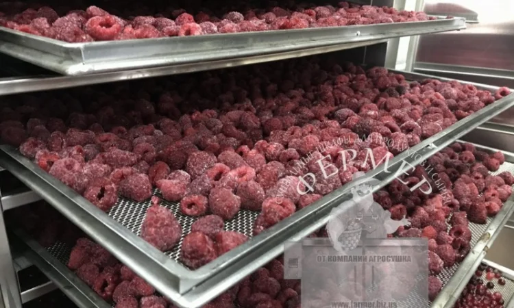 Инфракрасные промышленные шкафы для сушки фруктов, овощей, прочего - фото № 3