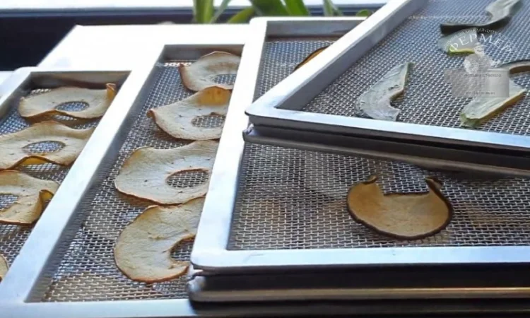 Инфракрасные промышленные шкафы для сушки фруктов, овощей, прочего - фото № 4