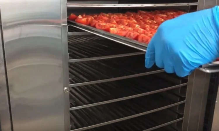 Инфракрасные промышленные шкафы для сушки фруктов, овощей, прочего - фото № 7